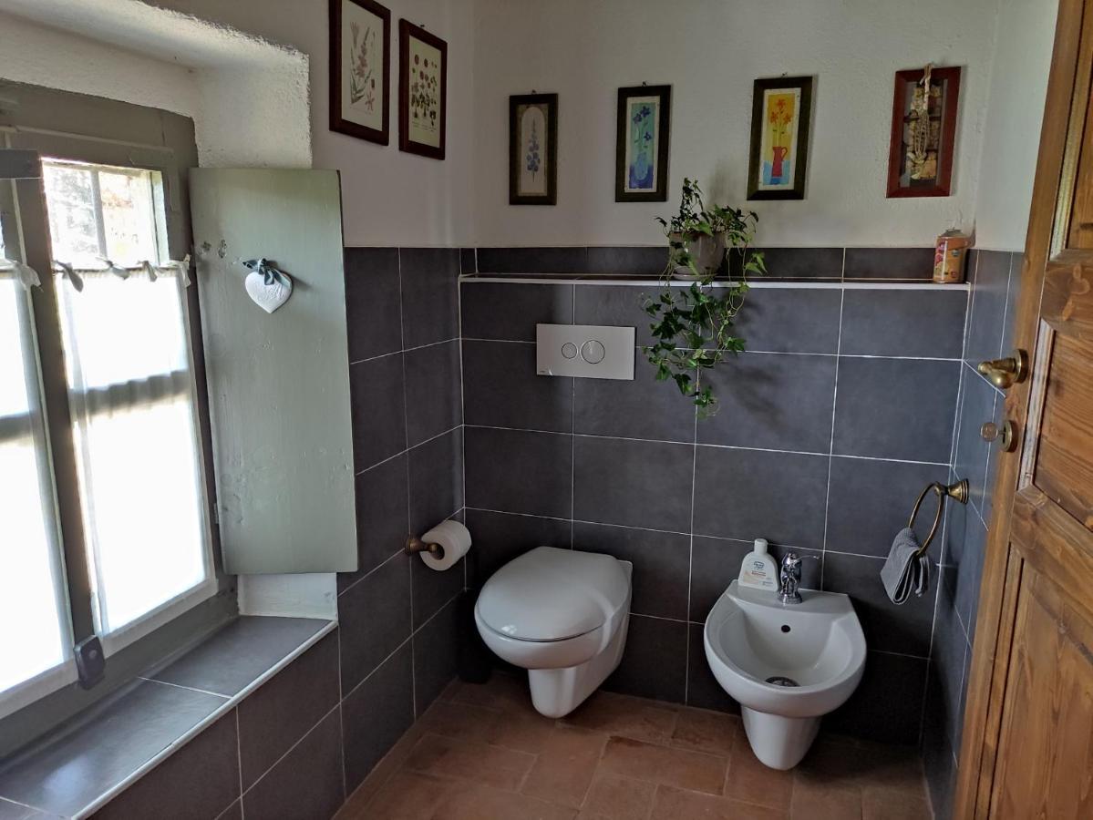 B&B Il Salice Veruno Bagian luar foto