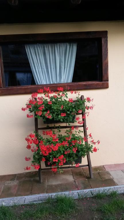 B&B Il Salice Veruno Bagian luar foto