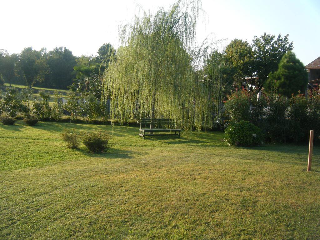 B&B Il Salice Veruno Bagian luar foto