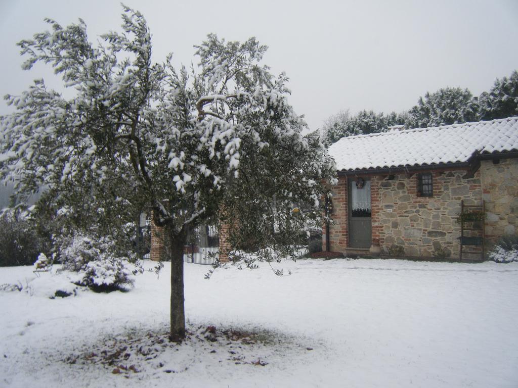 B&B Il Salice Veruno Bagian luar foto